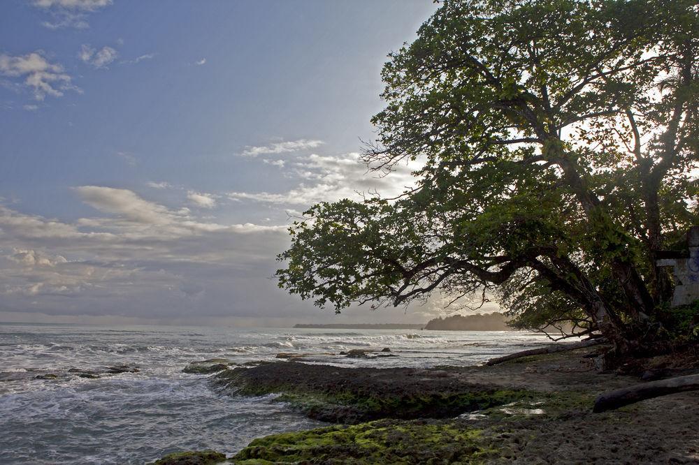Hotel Caribbean Coconut Cahuita Zewnętrze zdjęcie