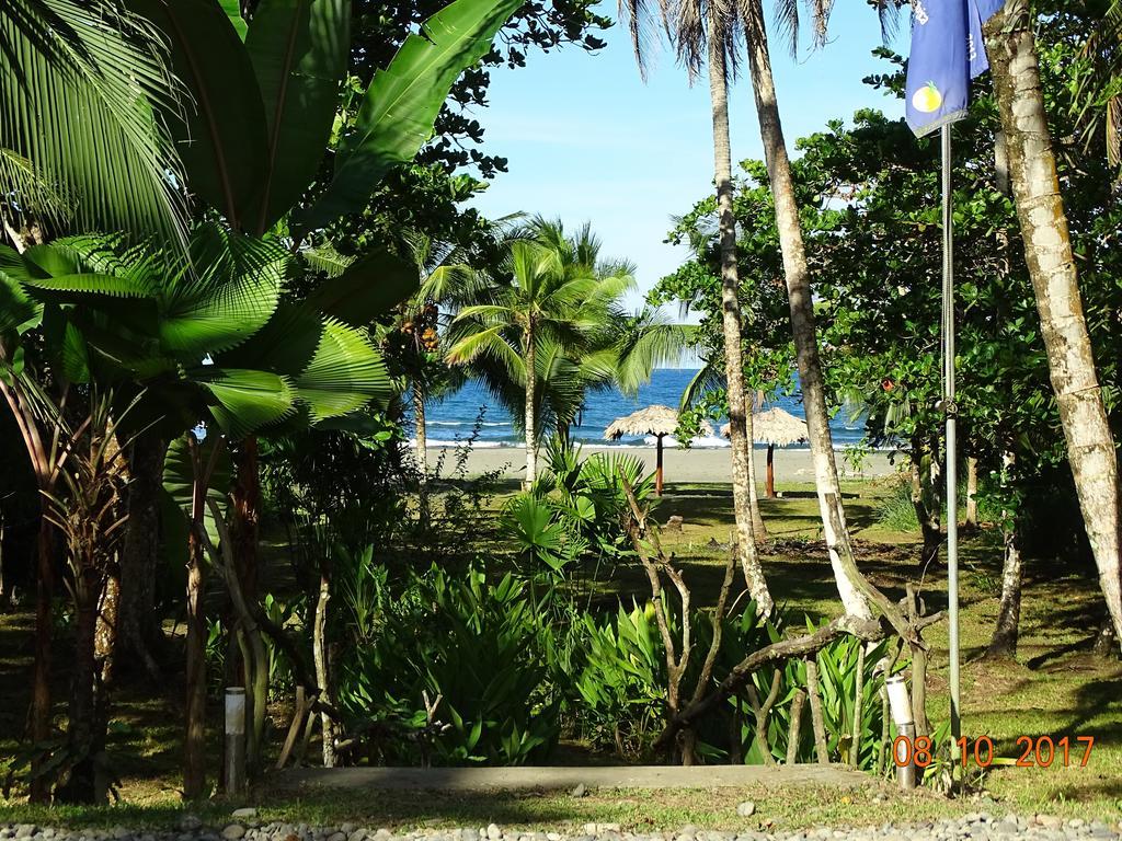 Hotel Caribbean Coconut Cahuita Zewnętrze zdjęcie