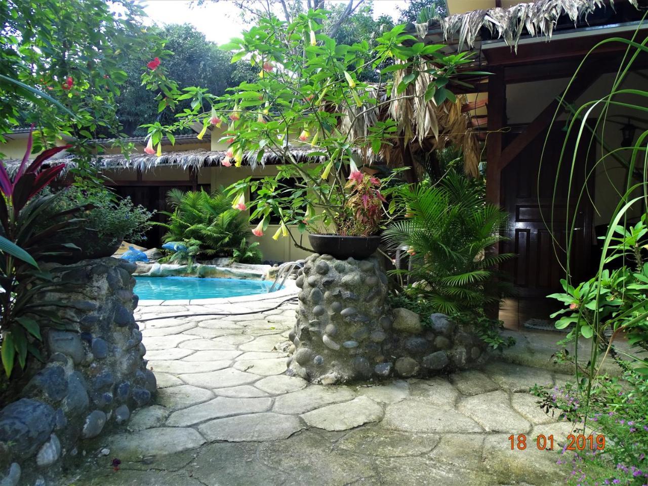 Hotel Caribbean Coconut Cahuita Zewnętrze zdjęcie