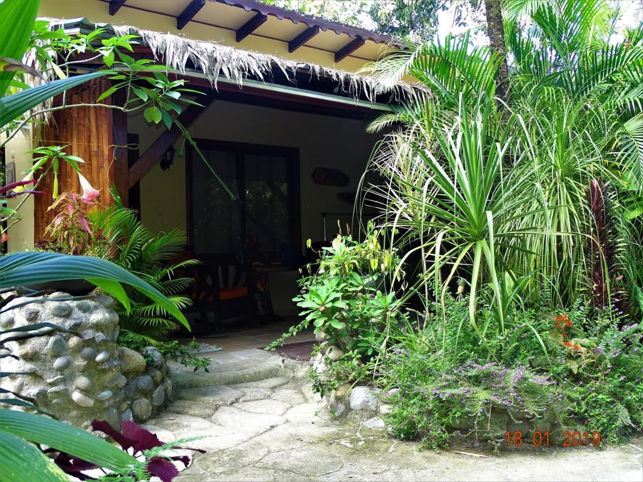 Hotel Caribbean Coconut Cahuita Zewnętrze zdjęcie