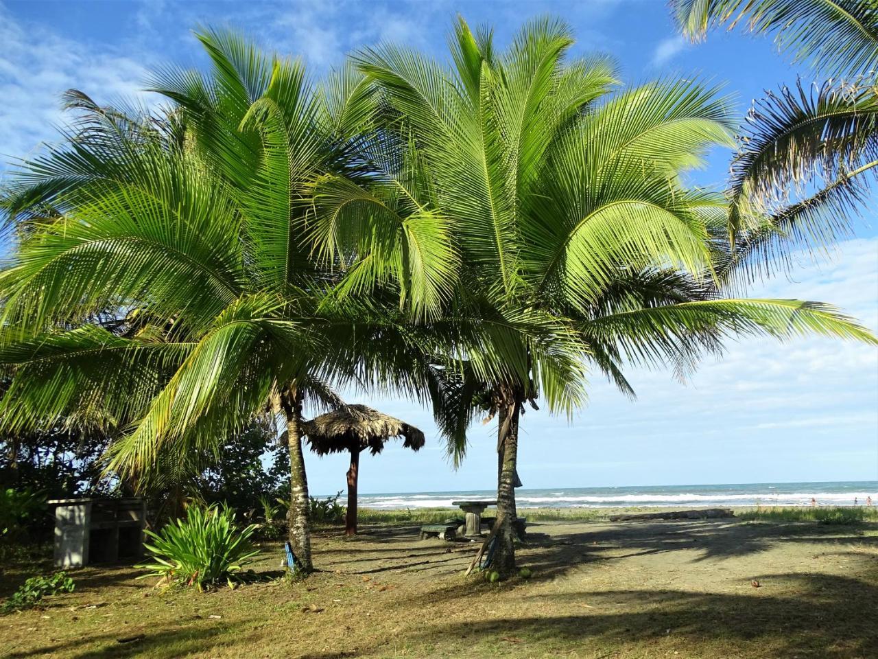 Hotel Caribbean Coconut Cahuita Zewnętrze zdjęcie